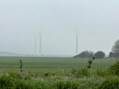 Eerie windfarms in the morning mist